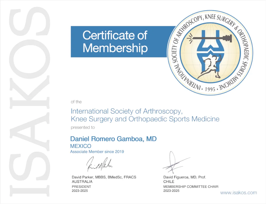 Constancia profesional